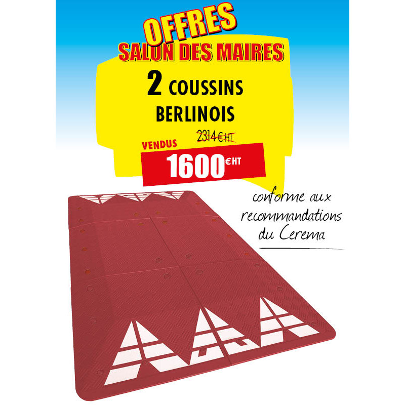2 COUSSINS BERLINOIS ROUGES