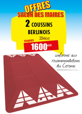 2 COUSSINS BERLINOIS ROUGES