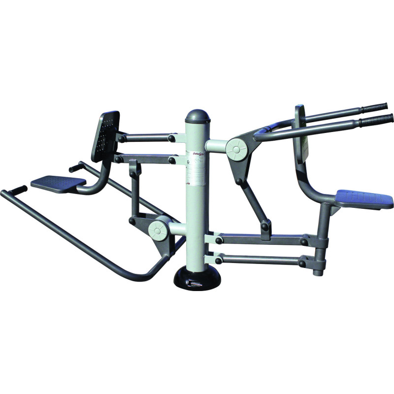 MODULE DE GYM - ENTRAINEMENT DU TORSE