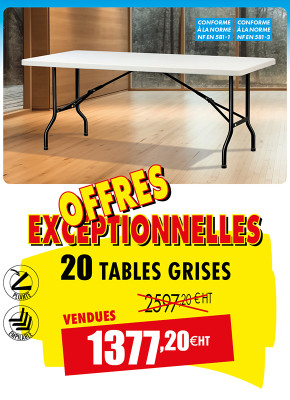 20 TABLES PLIANTES POLYÉTHYLÈNE 1830 MM