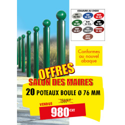 20 POTELETS BOULE