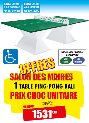 PRIX CHOC TABLE PING-PONG BALI