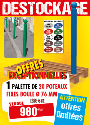 20 POTELETS BOULE