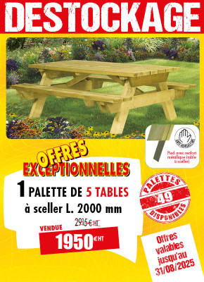 5 TABLES PIQUE-NIQUE BOIS CANADA