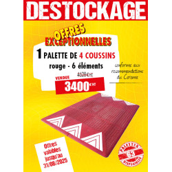 4 COUSSINS BERLINOIS ROUGES