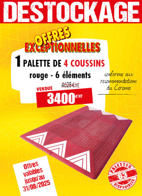 4 COUSSINS BERLINOIS ROUGES