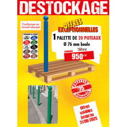 20 POTELETS BOULE