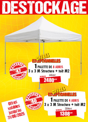 LOT DE 4 OU 8 ABRIS FESTIFS 300 X 300 CM
