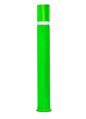 Vert RAL 6029