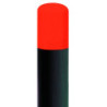 RAL 3020