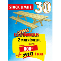 2 TABLES PIQUE-NIQUE 230 CM...