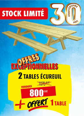 2 TABLES PIQUE-NIQUE 230 CM + 1 TABLE OFFERTE