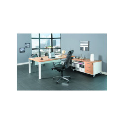 BUREAU PROFESSIONNEL EXPRIM...