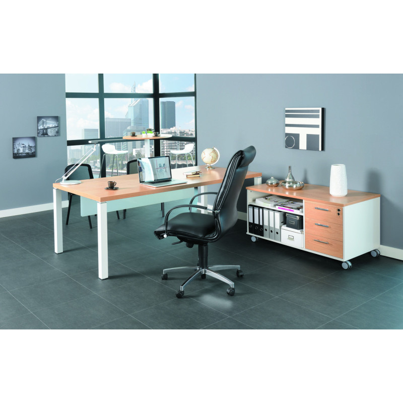 BUREAU PROFESSIONNEL EXPRIM MANAGER