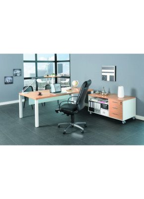 BUREAU PROFESSIONNEL EXPRIM MANAGER