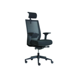 FAUTEUIL DE BUREAU ERGO...