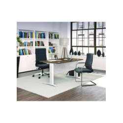 BUREAU PROFESSIONNEL AS