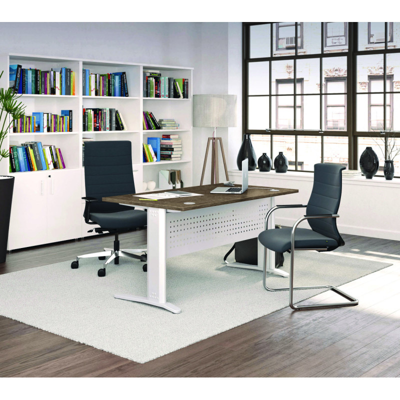 BUREAU PROFESSIONNEL AS