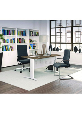 BUREAU PROFESSIONNEL AS