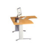 BUREAU PROFESSIONNEL AS