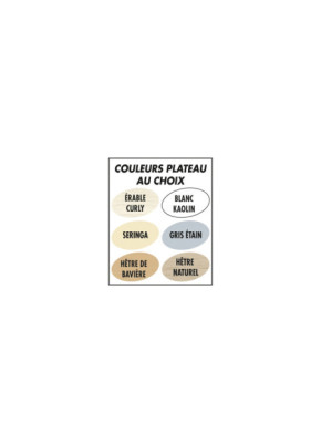 TABLE DE COLLECTIVITÉ PLIANTE MULTIPLAT