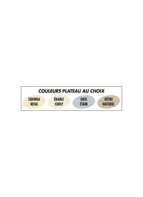 TABLE PLIANTE RECTANGULAIRE TPL