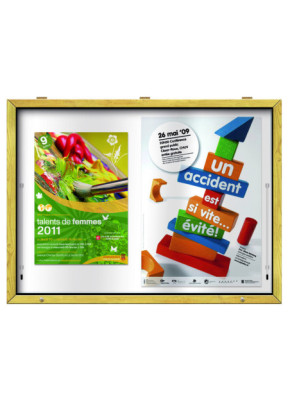 VITRINE D'AFFICHAGE EXTÉRIEUR BOIS
