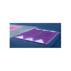 COUSSIN BERLINOIS