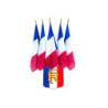 ÉCUSSON PORTE-DRAPEAUX