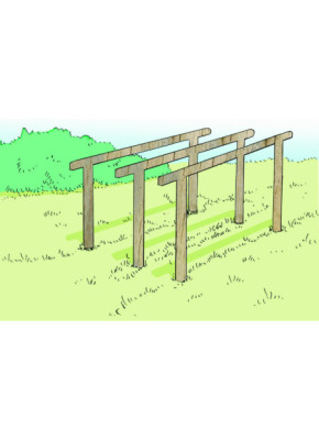 MODULE PARCOURS SANTÉ - BARRES PARALLÈLES