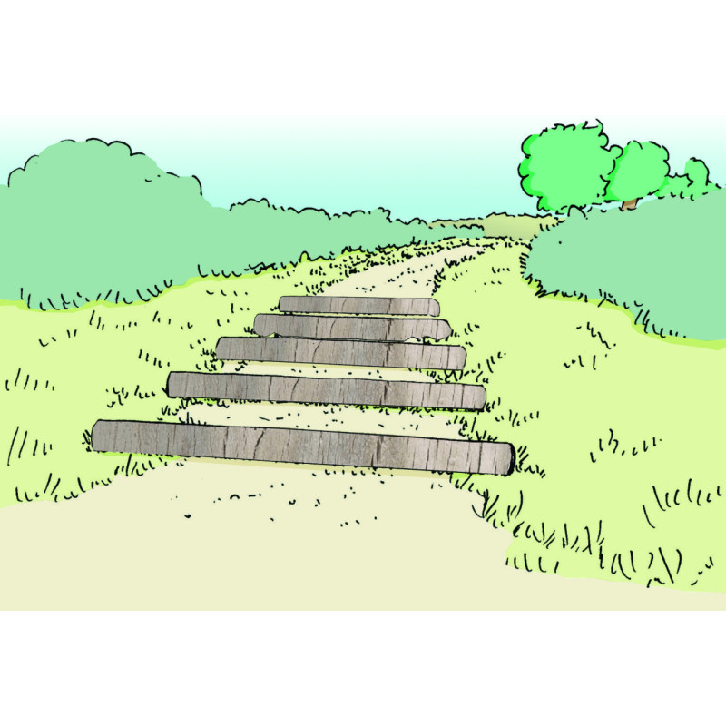 MODULE PARCOURS SANTÉ - SAUT DE PUCES