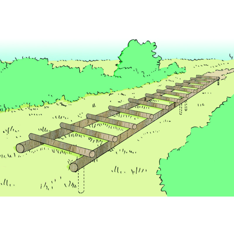 MODULE PARCOURS SANTÉ - SAUT DE GRENOUILLE