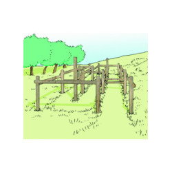 MODULE PARCOURS SANTÉ -...