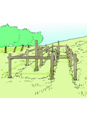 MODULE PARCOURS SANTÉ - CHICANES