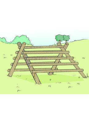 MODULE PARCOURS SANTÉ - ÉCHELLE DOUBLE