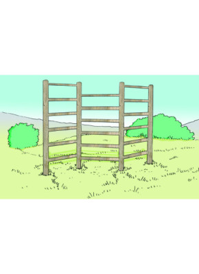 MODULE PARCOURS SANTÉ - ESPALIER ONDULÉ