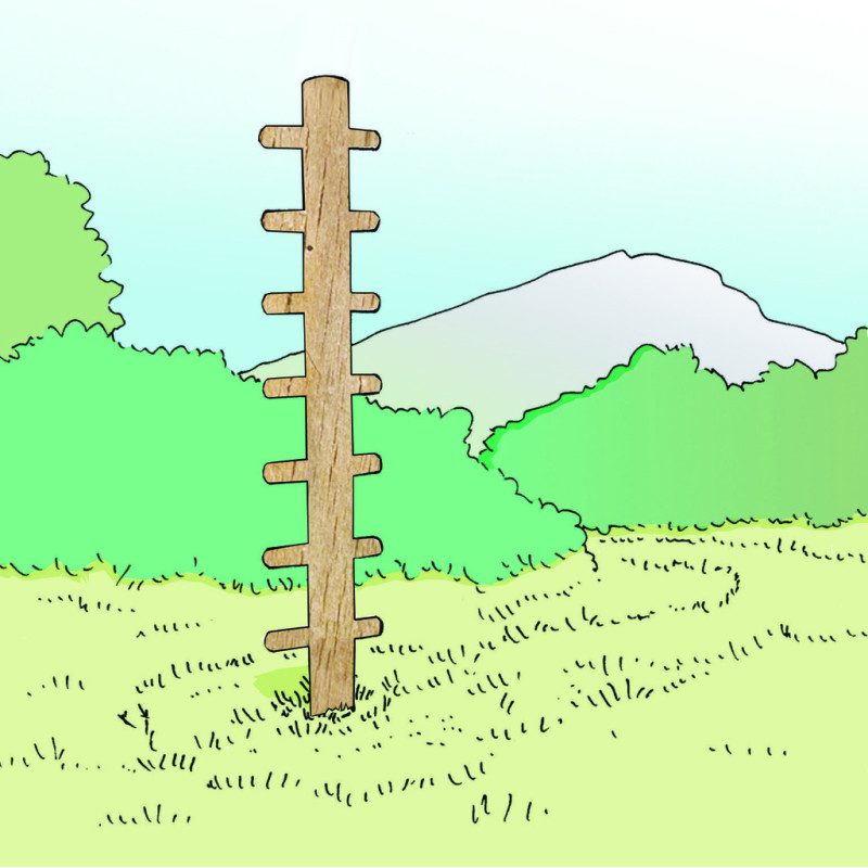MODULE PARCOURS SANTÉ - ARBRE À GRIMPER