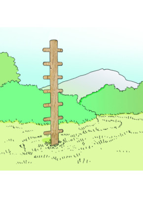 MODULE PARCOURS SANTÉ - ARBRE À GRIMPER