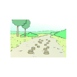 MODULE PARCOURS SANTÉ - PAS...