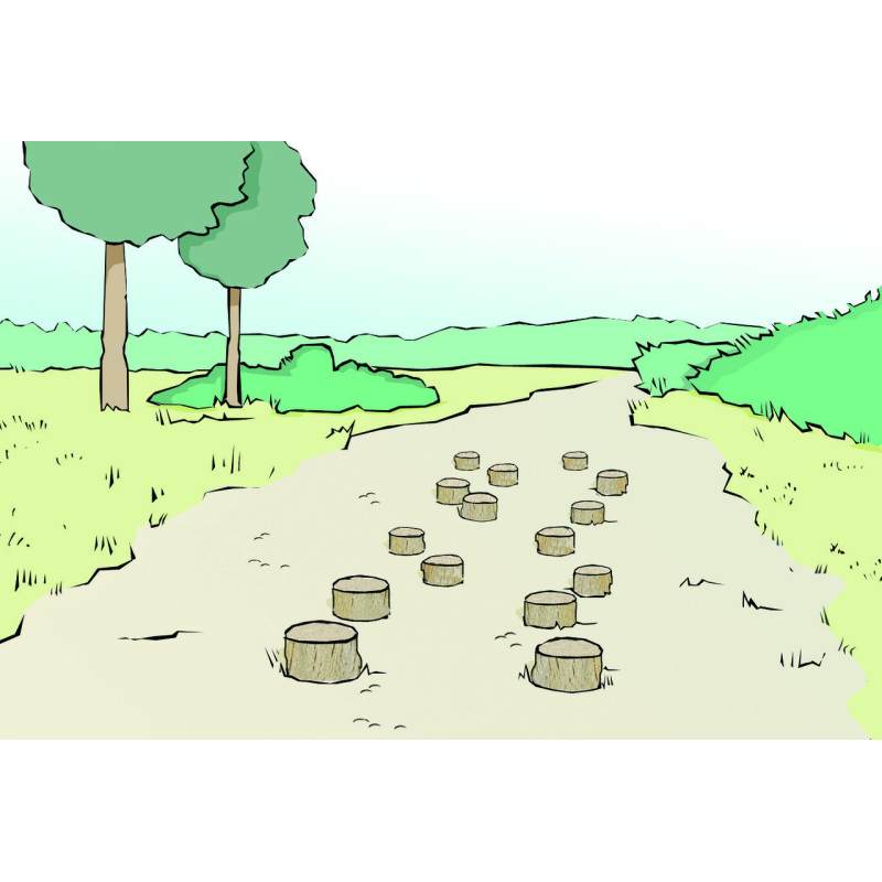 MODULE PARCOURS SANTÉ - PAS DE GÉANT