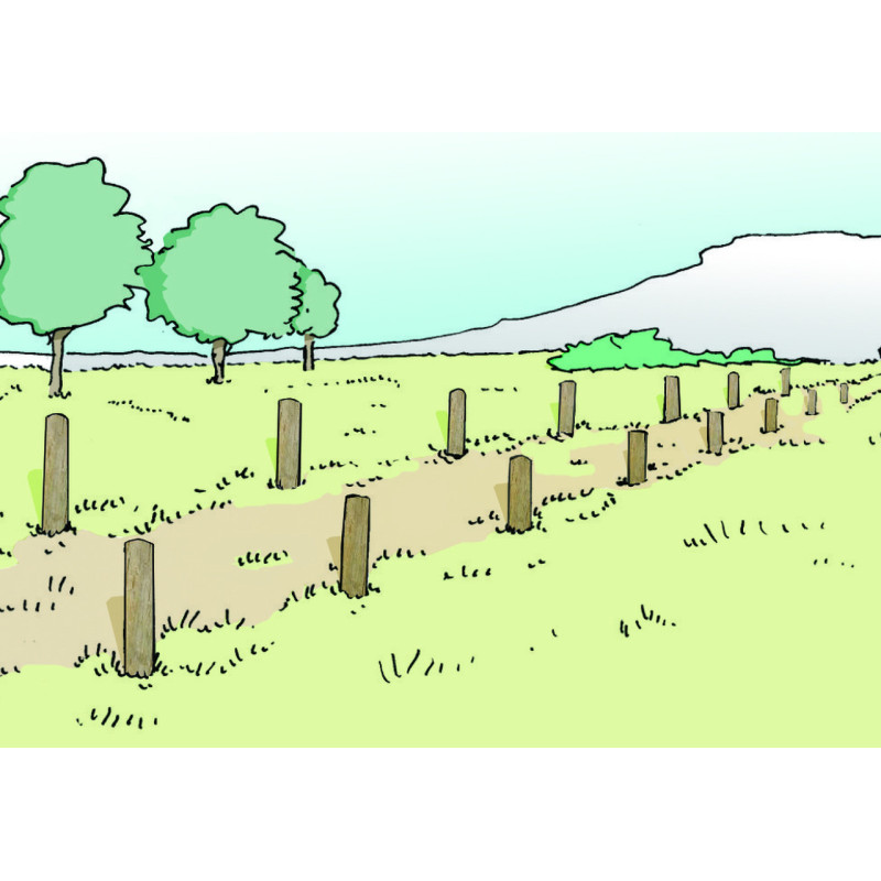MODULE PARCOURS SANTÉ - SAUTE MOUTON