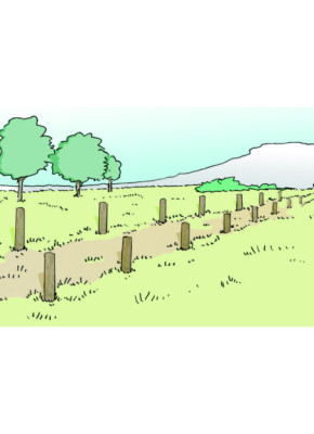 MODULE PARCOURS SANTÉ - SAUTE MOUTON