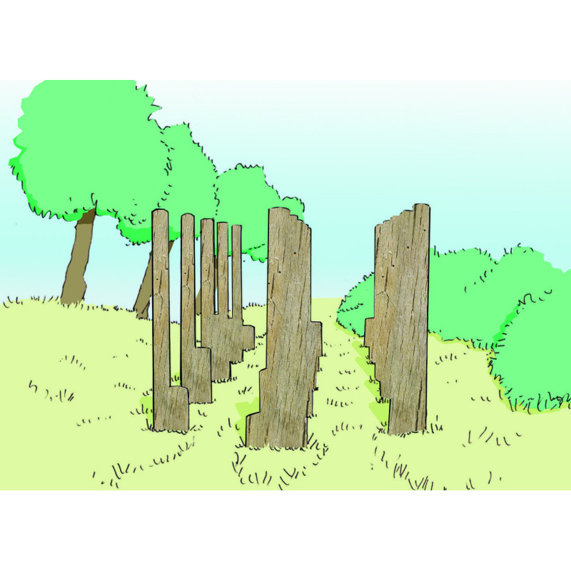 MODULE PARCOURS SANTÉ - PAS DE BERGER