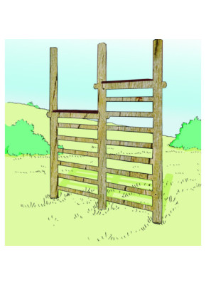 MODULE PARCOURS SANTÉ - ÉCHELLE DE SAUT