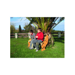 BANC LUDIQUE BOIS DRAGON
