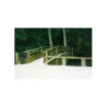 PASSERELLE PIÉTONNE CINTRÉE EN BOIS