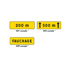 PANONCEAUX TEMPORAIRES :...