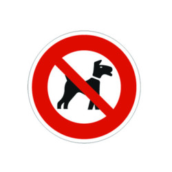 Chien Milou noir