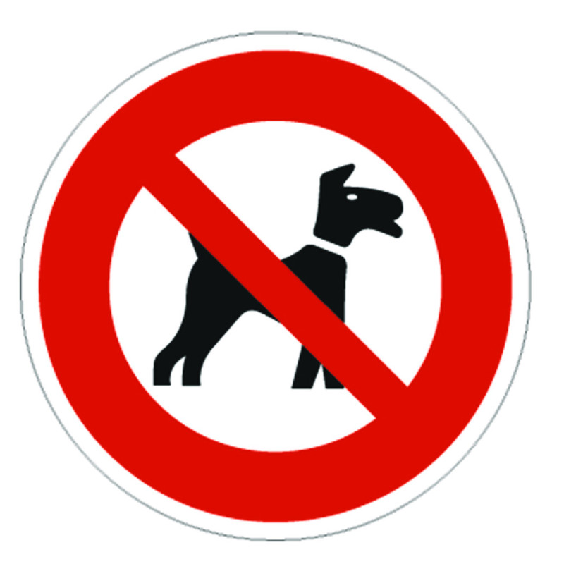 Chien Milou noir Chien Milou noir