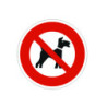 Chien Milou noir